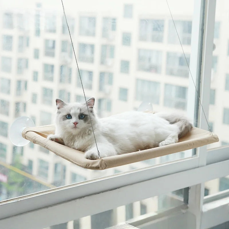 Cat hammock, cat window suction cup, cat nest, cat climbing frame, suspended balcony, glass, sun drying, pet cat bedding supplie - https://mohammadcollection.com