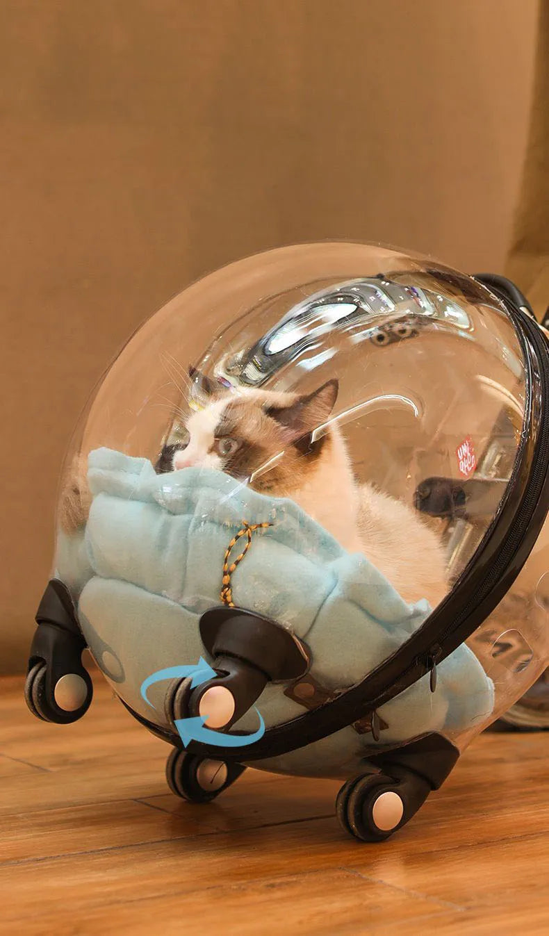 Transparent hard-sided cat carrier backpack with large capacity, outdoor trolley case, and space capsule design by MC THE BLACK DIAMOND