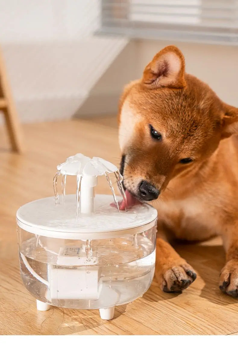 MC THE BLACK DIAMOND USB electric pet water fountain with filter, 1L capacity for cats, automatic drinking dispenser and water flow.