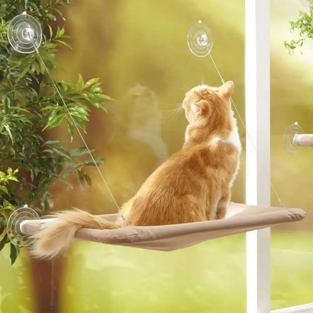 Cat hammock, cat window suction cup, cat nest, cat climbing frame, suspended balcony, glass, sun drying, pet cat bedding supplie - https://mohammadcollection.com