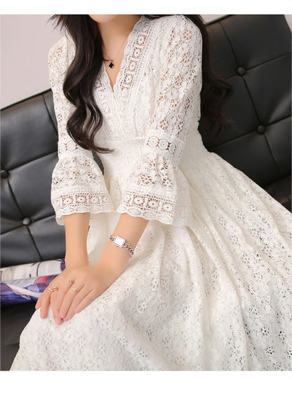 Mohammad Collection