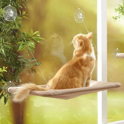 Cat hammock, cat window suction cup, cat nest, cat climbing frame, suspended balcony, glass, sun drying, pet cat bedding supplie - https://mohammadcollection.com