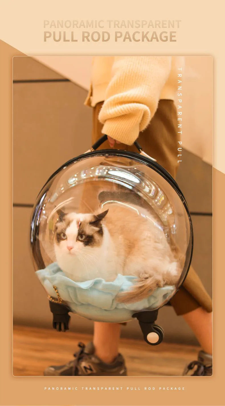 MC The Black Diamond cat backpack with transparent hard-sided carrier, spacious outdoor trolley case for travel and pet comfort.