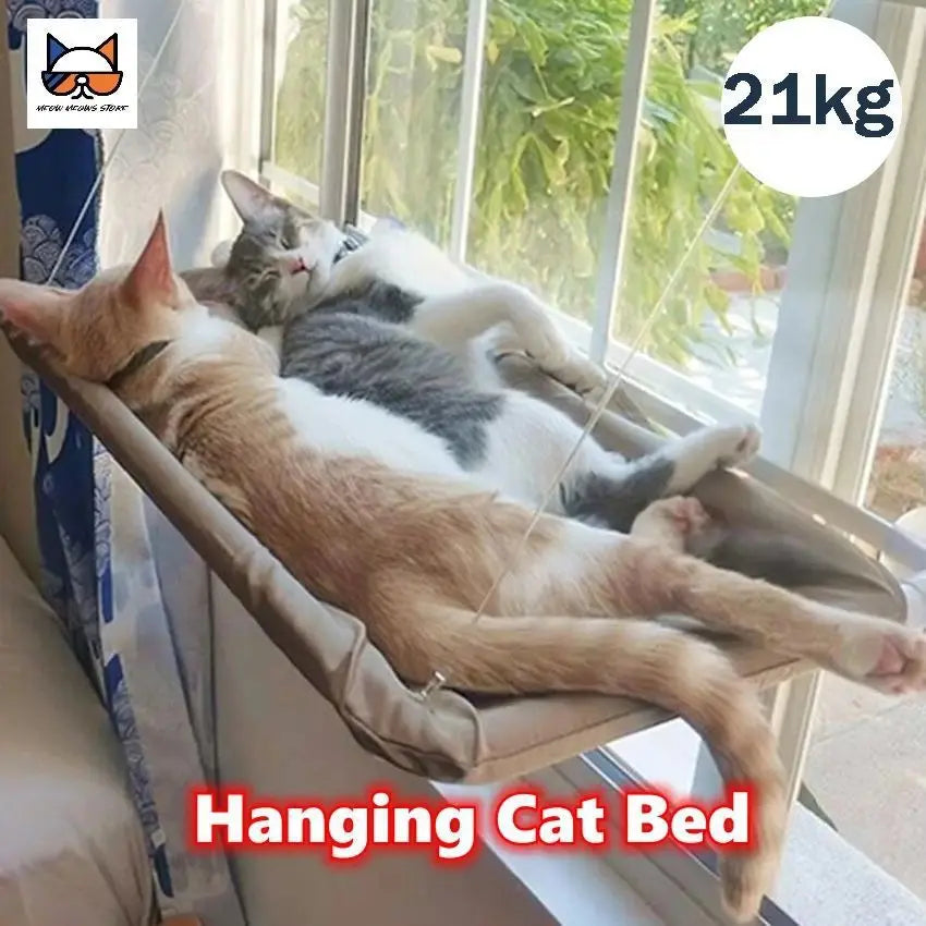 Cat hammock, cat window suction cup, cat nest, cat climbing frame, suspended balcony, glass, sun drying, pet cat bedding supplie - https://mohammadcollection.com