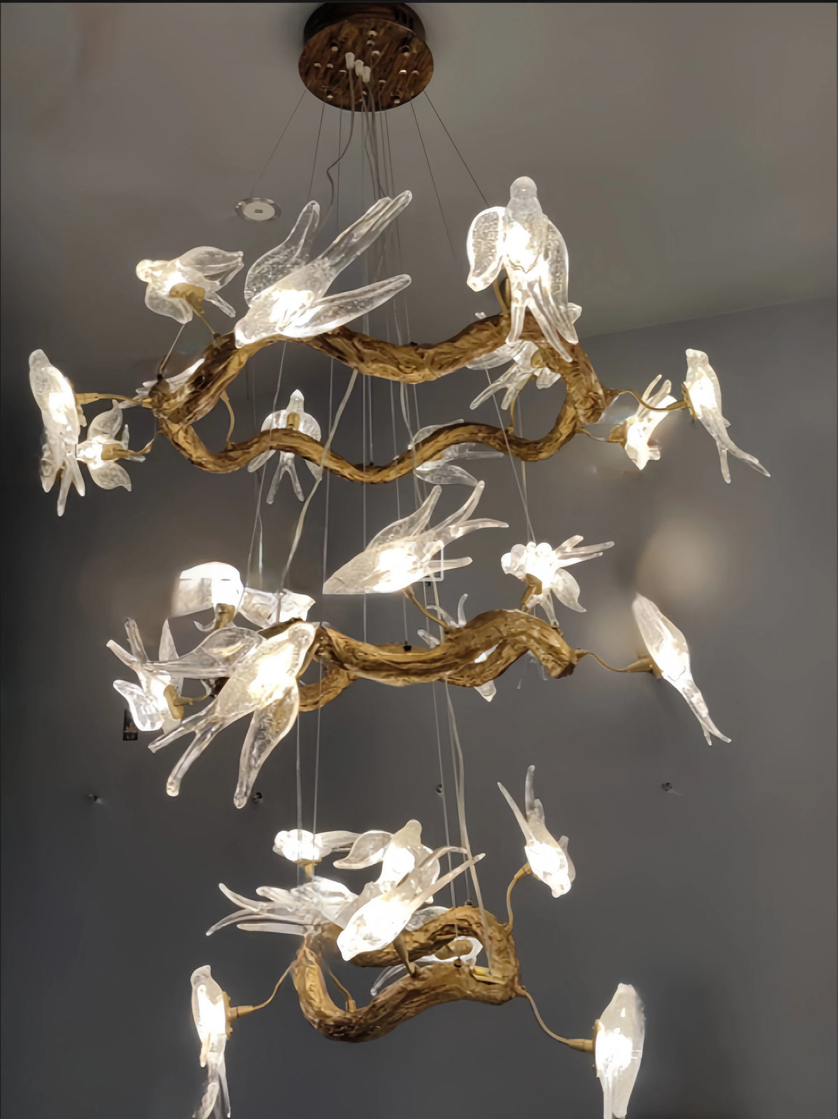 Vintage round bird chandelier with swallow design, MC THE BLACK DIAMOND ceiling lighting fixture featuring intricate metalwork.