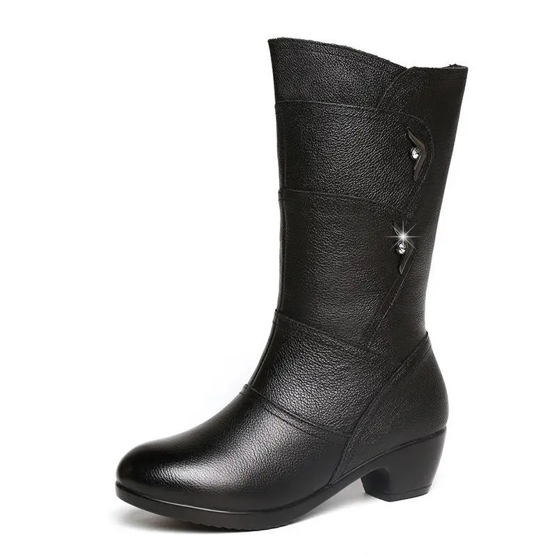 Mohammad Collection