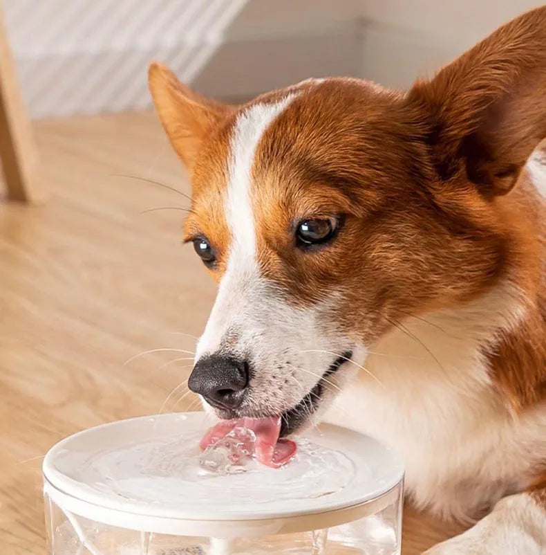 MC THE BLACK DIAMOND USB electric pet water fountain with a 1L capacity, featuring a filter and automatic cat drinking dispenser.